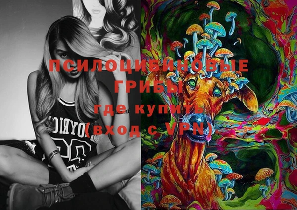 хмурый Алексеевка