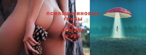 хмурый Алексеевка