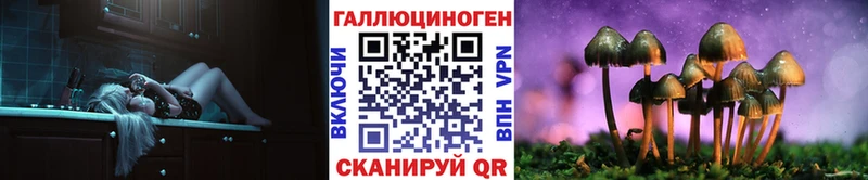 Галлюциногенные грибы MAGIC MUSHROOMS  площадка какой сайт  Геленджик 