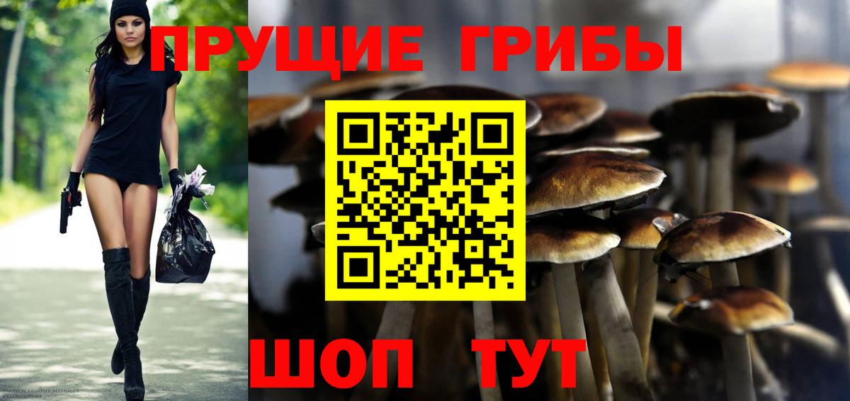 Галлюциногенные грибы прущие грибы Геленджик