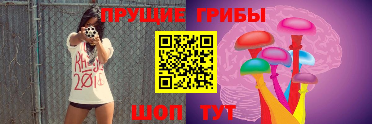 Геленджик  Псилоцибиновые грибы MAGIC MUSHROOMS  Вход с VPN  купить   Псилоцибиновые грибы GOLDEN TEACHER 